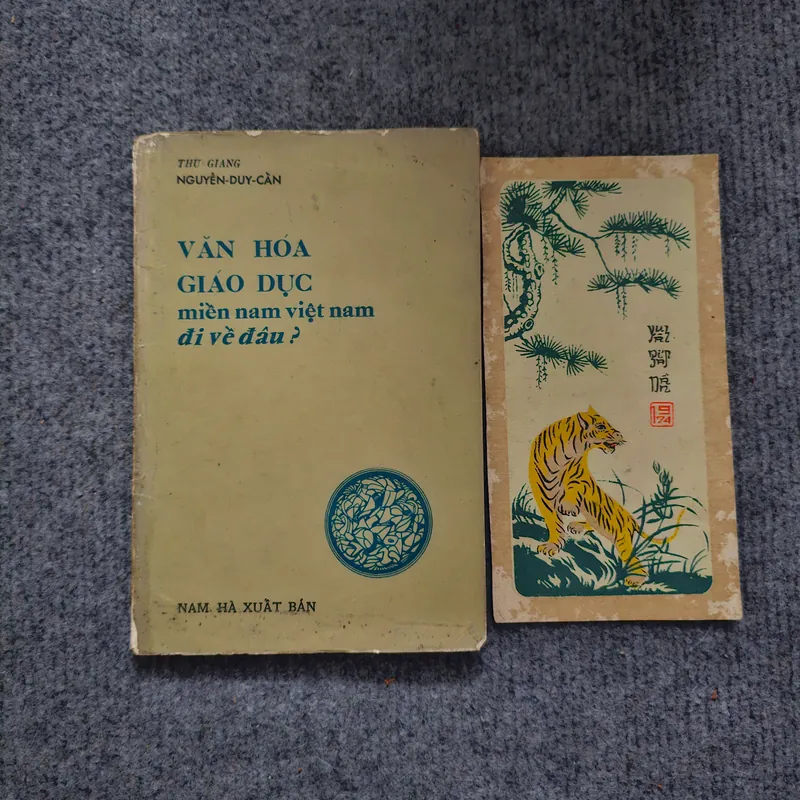 Văn hóa giáo dục miền Nam Việt Nam đi về đâu - Nguyễn Duy Cần 740519