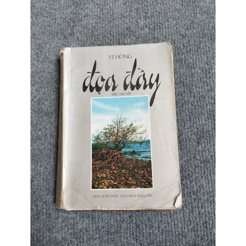 ĐỌA ĐẦY - VI HỒNG 469840