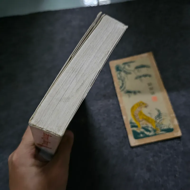 Chỉ tại con chim chích chòe - Dương Tường 736575