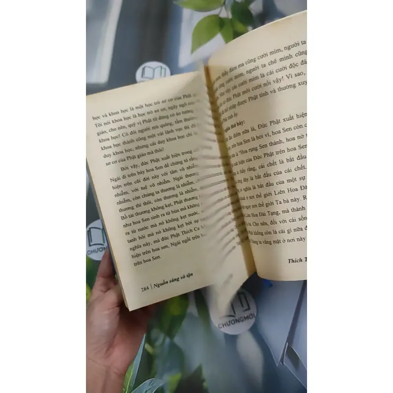 Nguồn Sáng Vô Tận - Thích Thái Hòa 990452