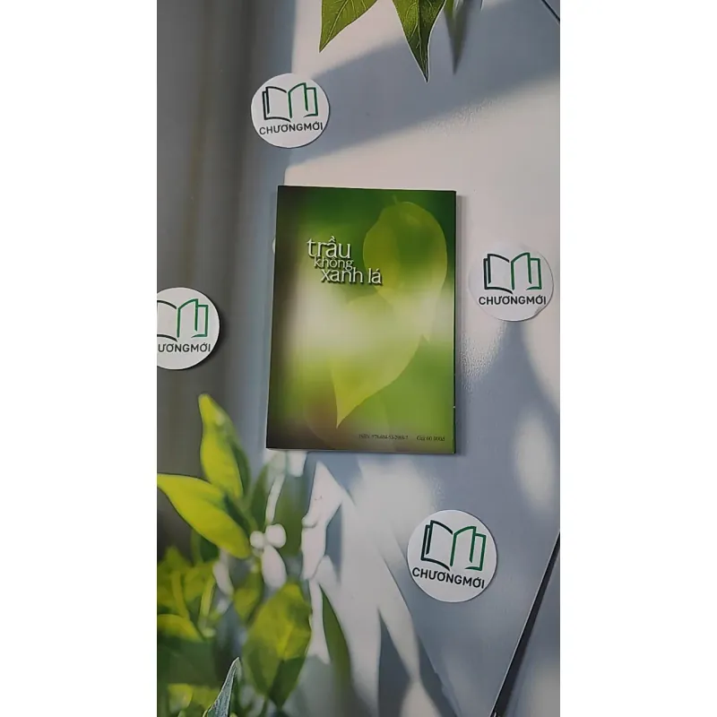 Trầu Không Xanh Lá - Cao Thanh Mai 798319