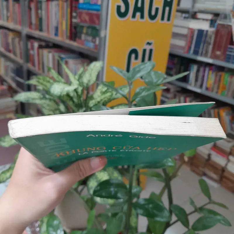 KHUNG CỬU HẸP - ANDRE GIDE (BÙI GIÁNG DỊCH) 1039335