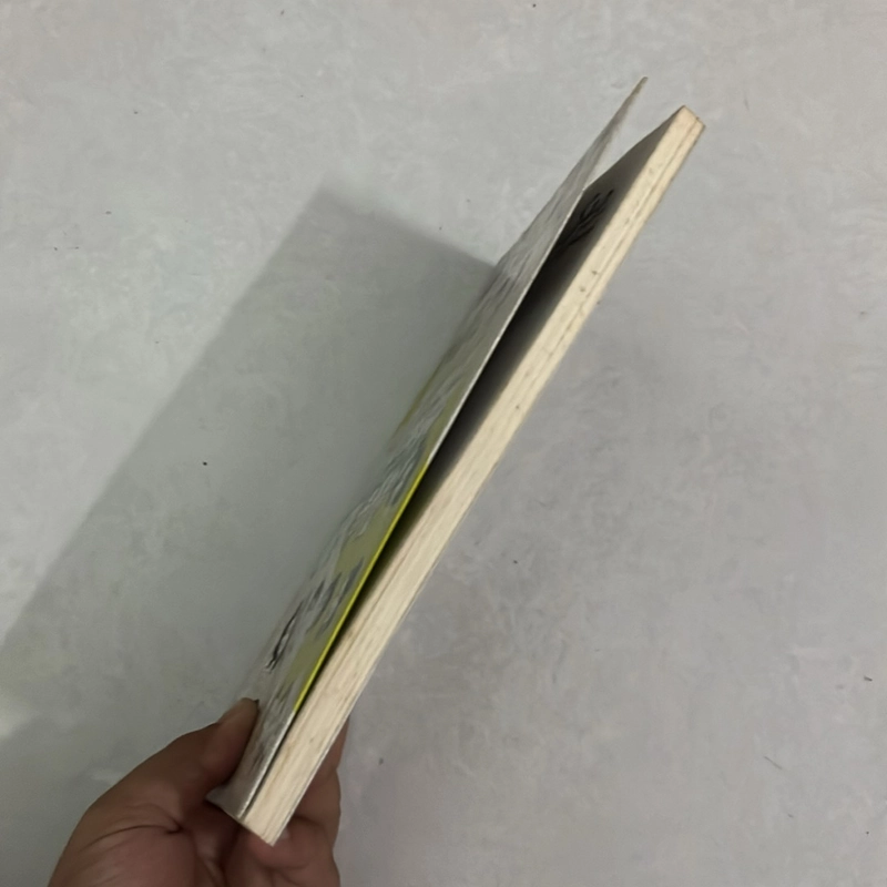 Sao trong mắt Lê Hoàng  504656