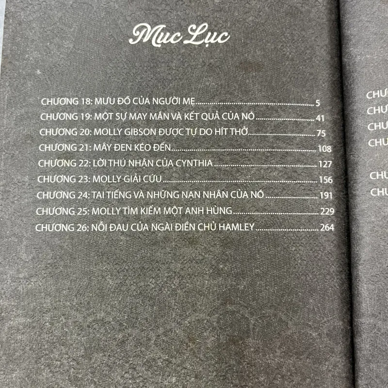 VỢ VÀ CON GÁI - NGÔ MINH NGỌC 336616