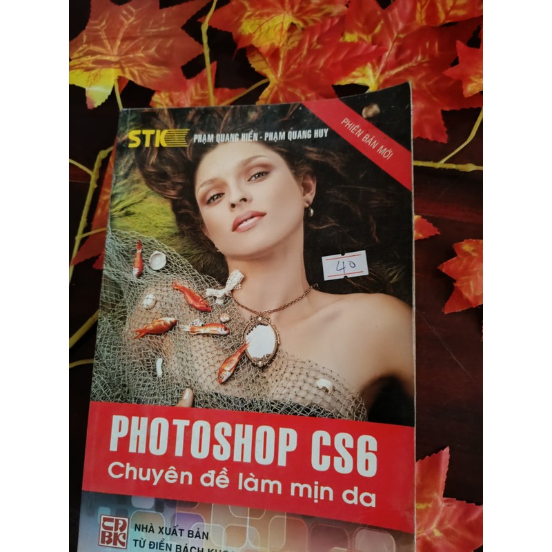 Photoshop CS6 Chuyên Đề Làm Mịn Da 195194