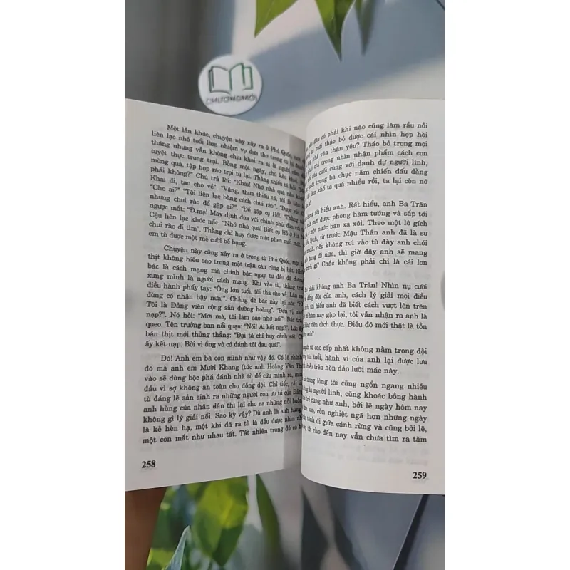 Nhà Lao Cây Dừa - Chu Lai 798338