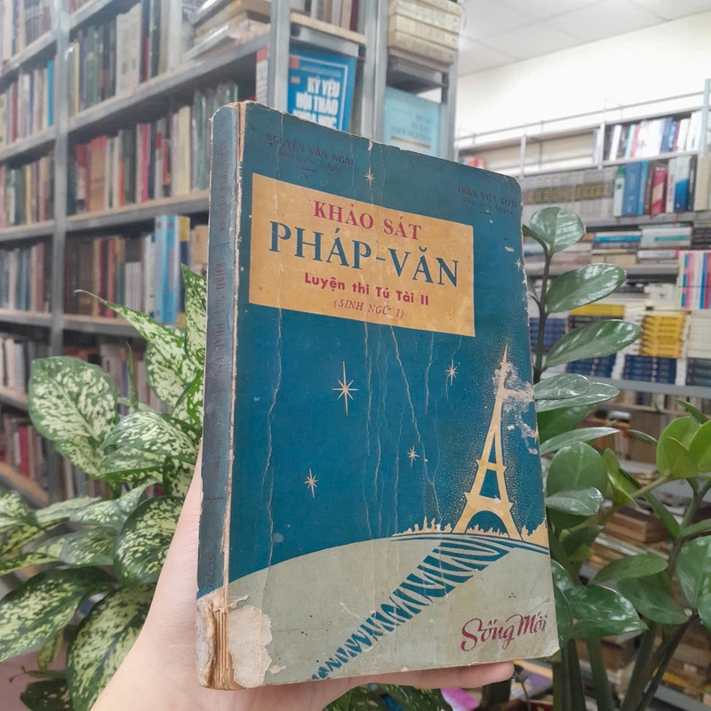 KHẢO SÁT PHÁP VĂN - NGUYỄN VĂN NGẢI, TRẦN VIỆT SƠN 546583