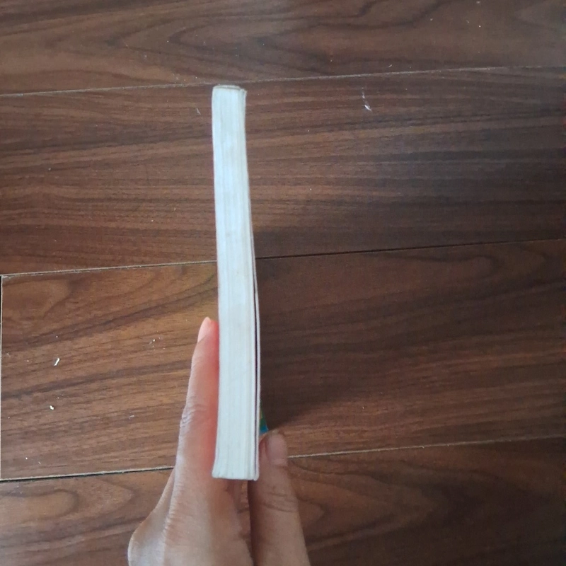 Truyện cổ tích về các anh hùng Nga 524058