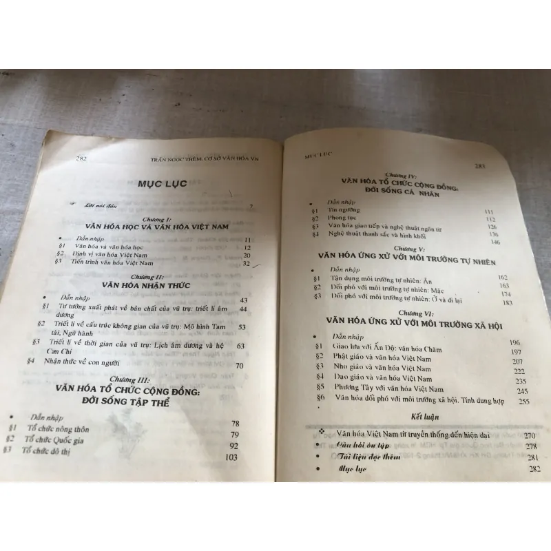 Cơ sở văn hoá Việt Nam 780660