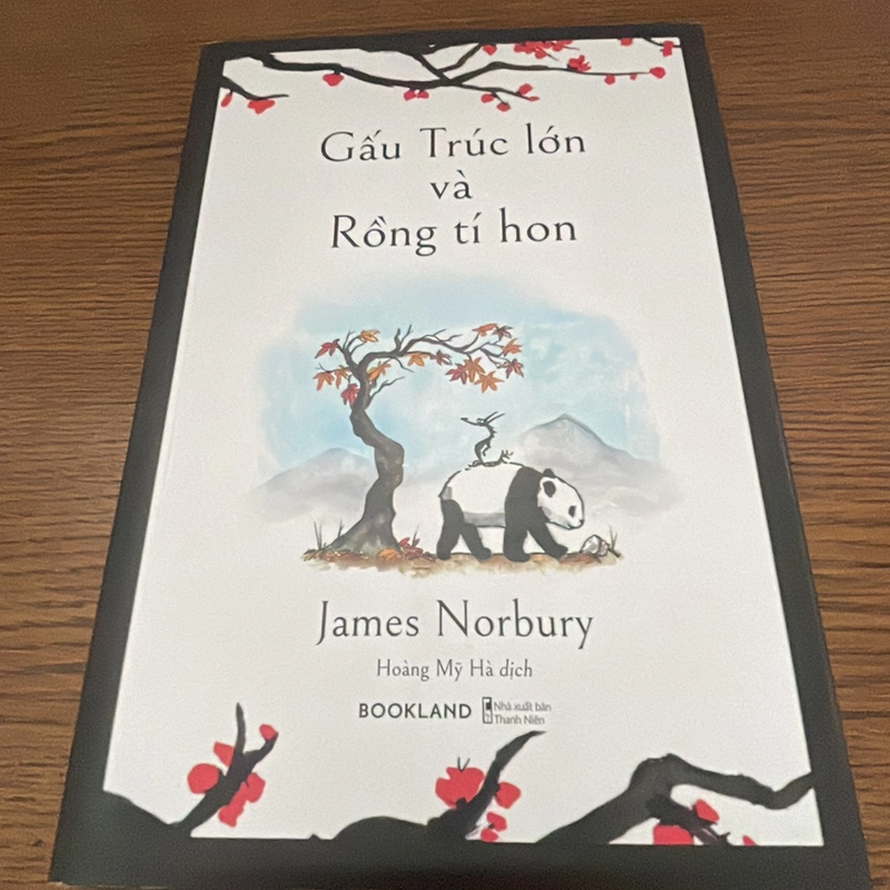 Gấu trúc và rồng tí hon James Norbury 358559