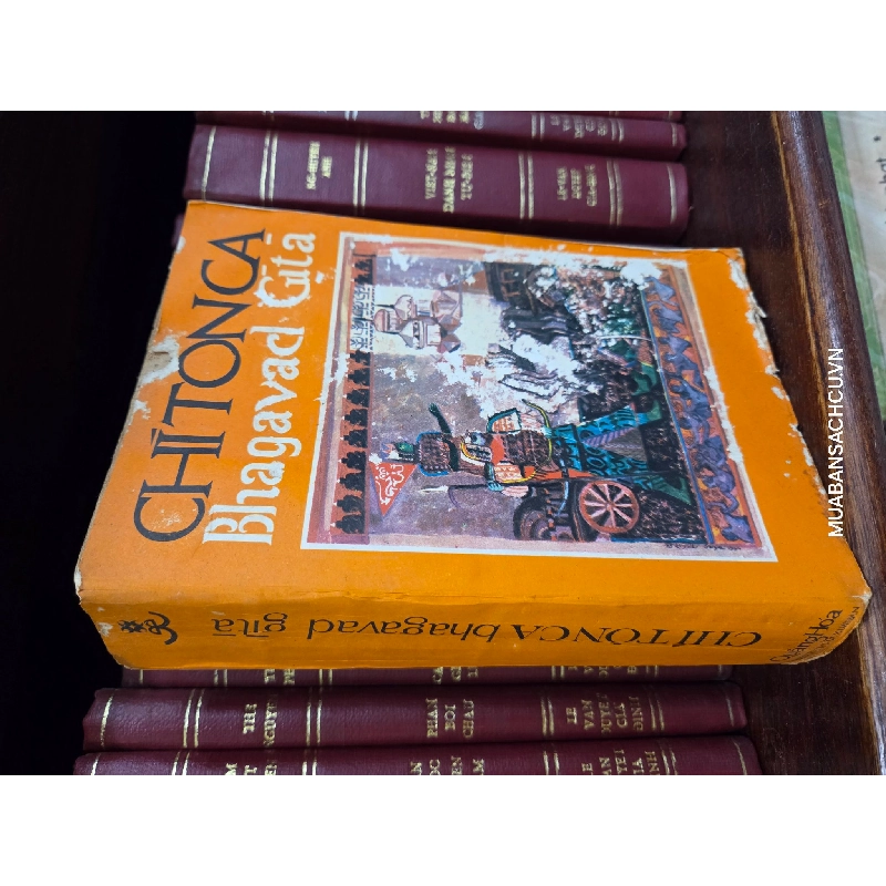 Chí Tôn Ca - bản dịch của Nguyễn Quỳnh 740247