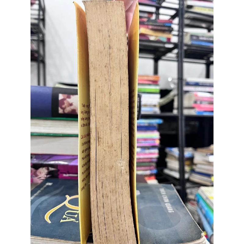 ĐẠI MÌNH HỒ TRẠCH NỮ KÝ - Thẩm Thương My 934404