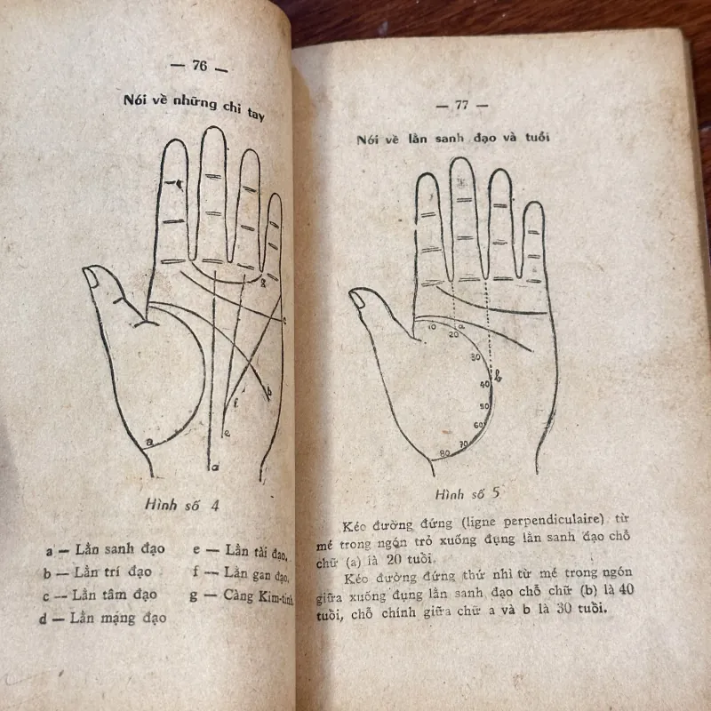 DẠY COI TAY – ĐOÁN VẬN MẠNG 997147