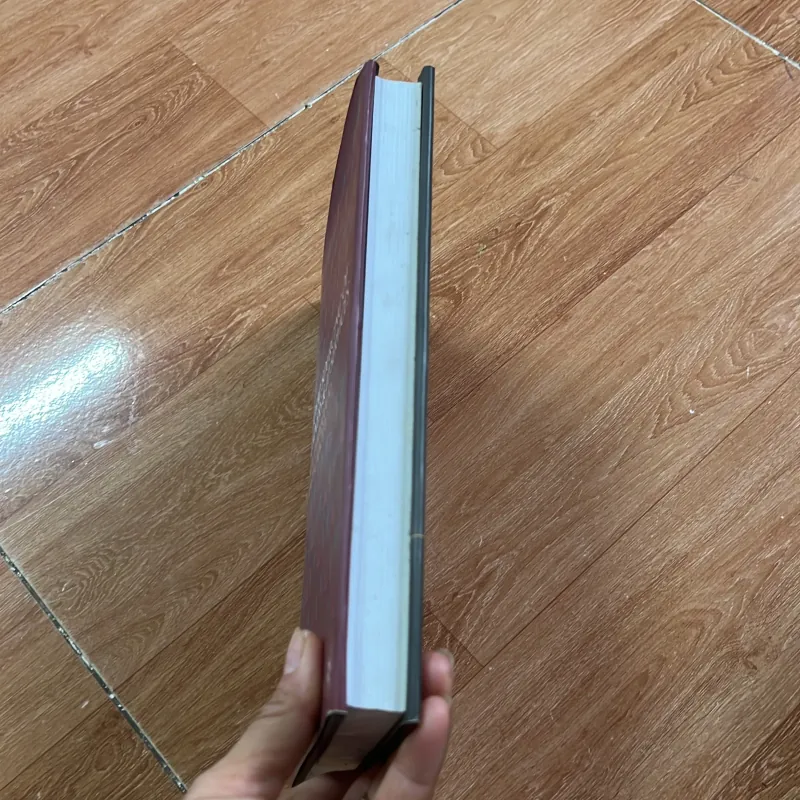 GLOBAL SOURCING OF BUSINESS & IT SERVICES  745197