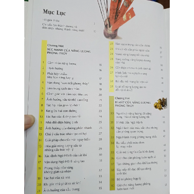 Phong thủy đem lại sức sống cho bạn - Lillian Too (Nguyễn Mạnh Thảo dịch) 477729
