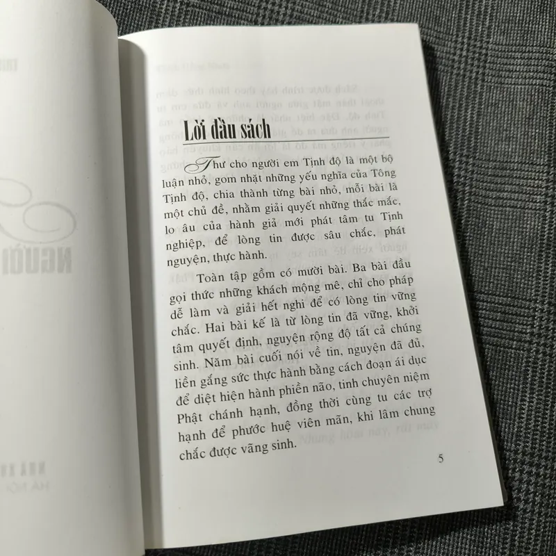 Thư Cho Người Em Tịnh Độ - Thích Hồng Nhơn 697709