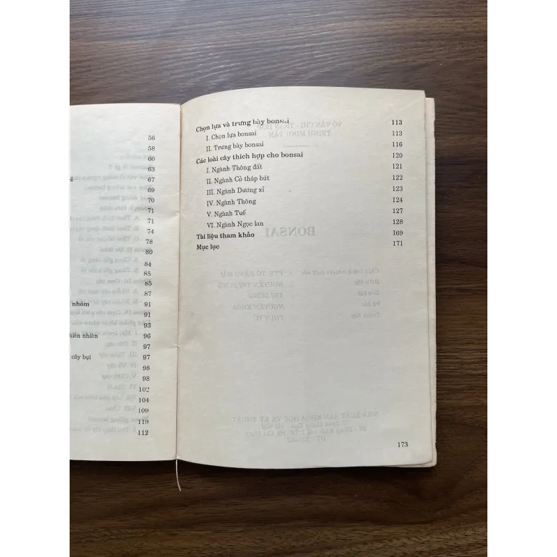 Bonsai 🌿🌿 961565