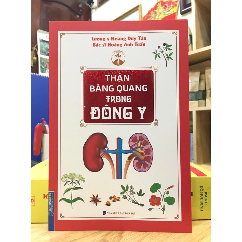 Thận Bàng quang trong Đông y 540334