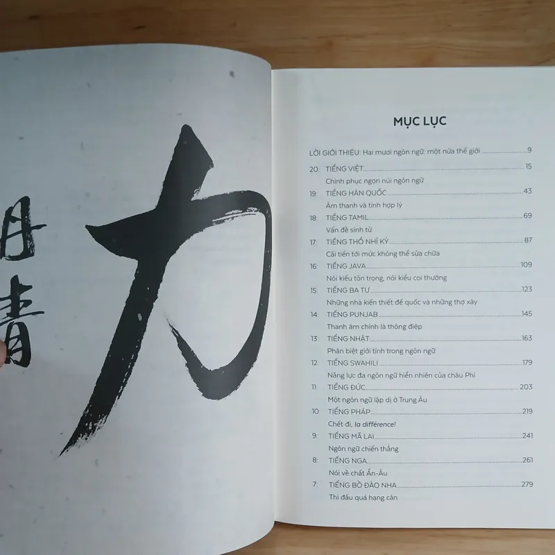 BABEL: Vòng Quanh Thế Giới Qua 20 Ngôn Ngữ - Gaston Dorren 675172