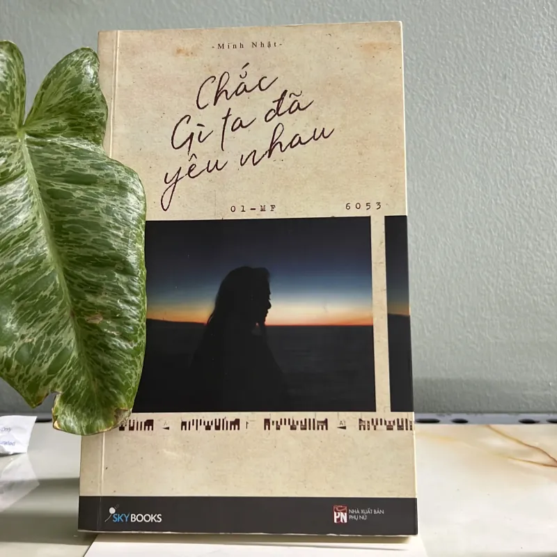 Chắc gì ta đã yêu nhau - Minh Nhật 755589