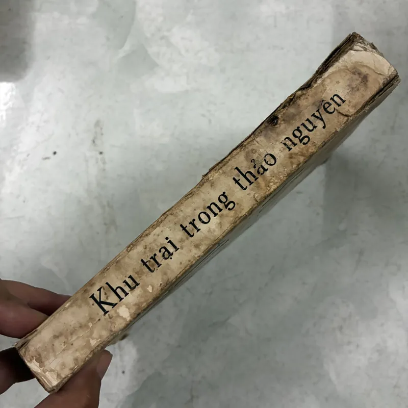 Khu trại trong thảo nguyên 1025116