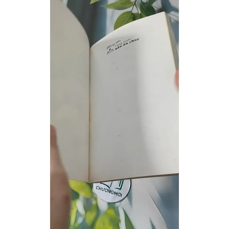 Hướng Dẫn Từng Bước Nấu Ăn Chay - Thế Hùng 727273