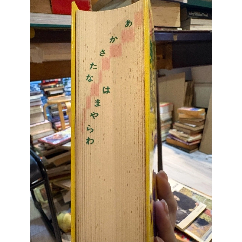 Sách tiếng Nhật 243 449851