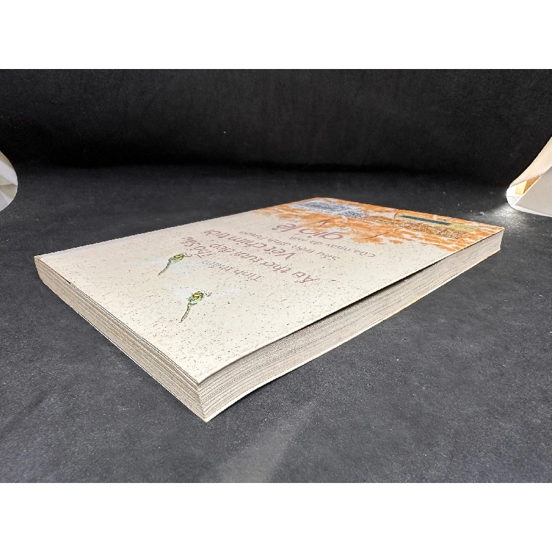 [Phiên Chợ Sách Cũ] Gió Lẻ Và 9 Câu Chuyện Khác, 2018 - Nguyễn Ngọc Tư H1004-SBM 1018031