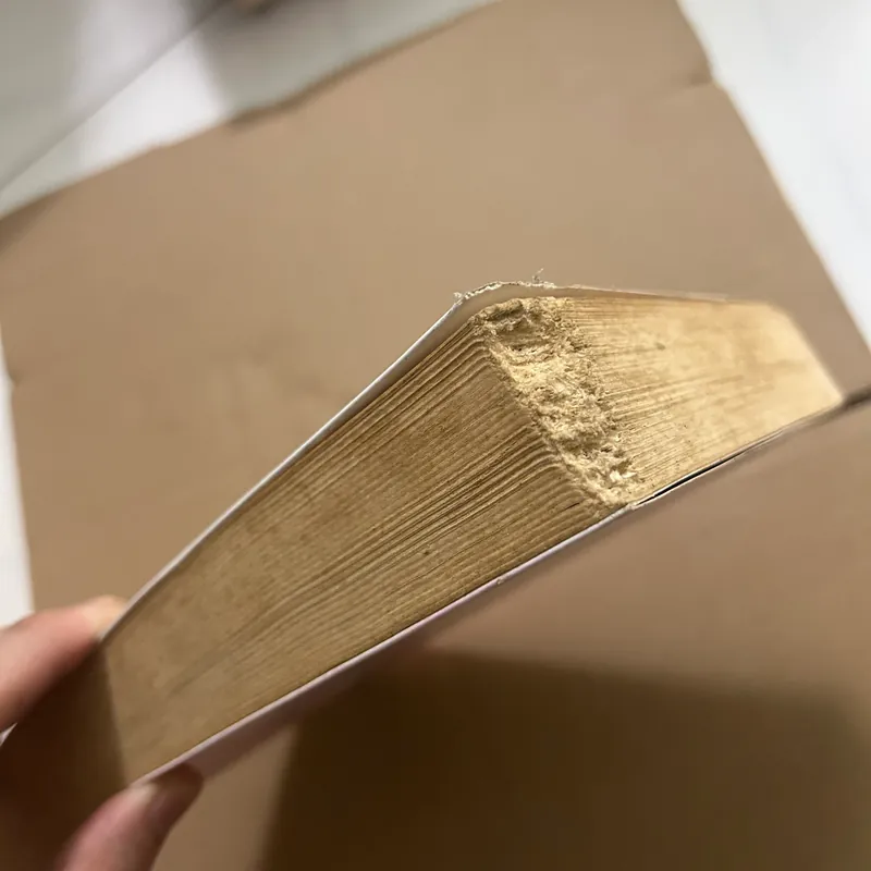 Mùa đông ấm hoa sẽ nở 562983