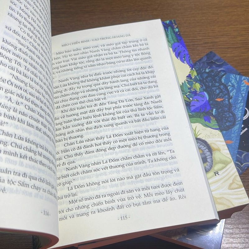 Bộ 6 cuốn Mèo chiến binh Erin Hunter 493465