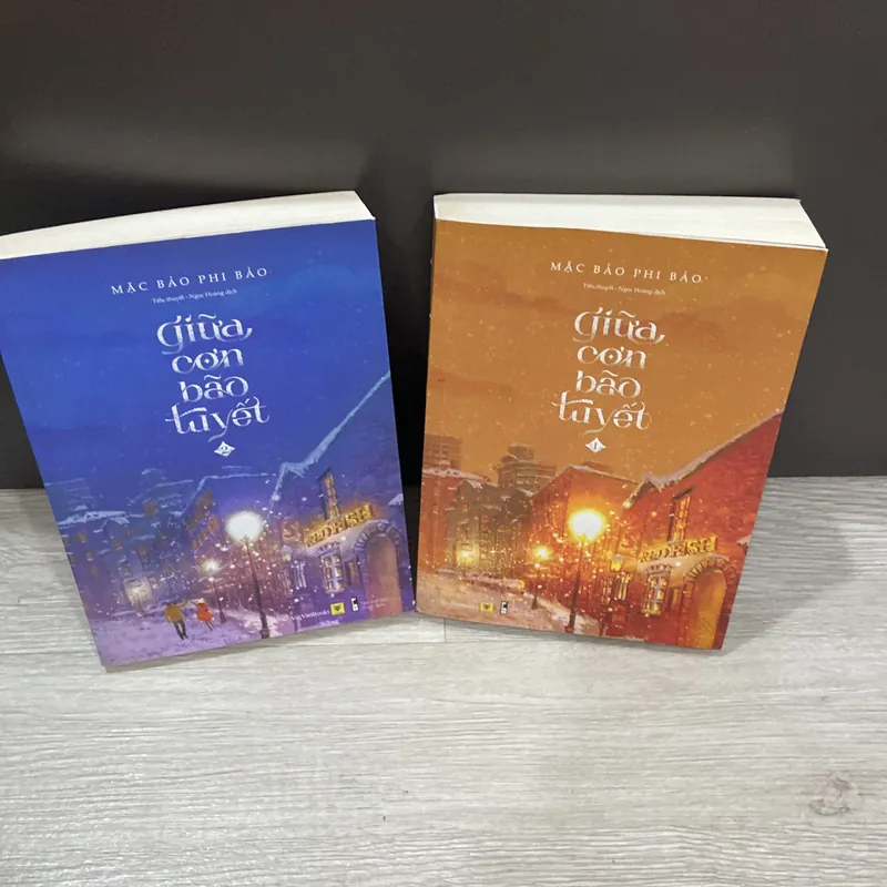 Giữa Cơn Bão Tuyết.  462831