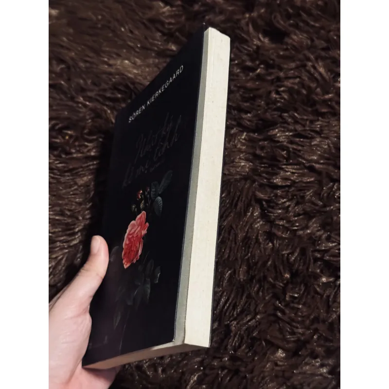 Nhật ký kẻ mị tình 762171