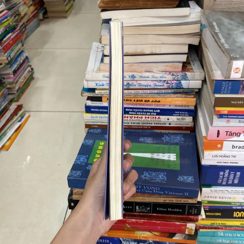 Chữa Lành Nỗi Đau Đằng Sau Tan Vỡ♟️ 746082