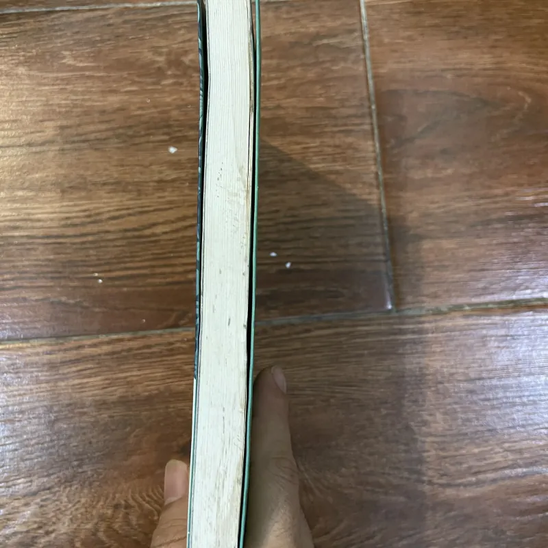 Mèo chiến binh - Vào trong hoang dã (19) 1031964