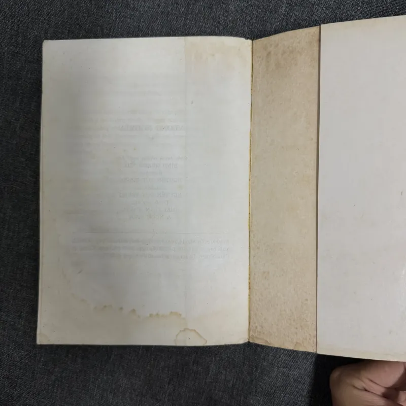 Vương Nguyên - Pearl S. Buck 1002837