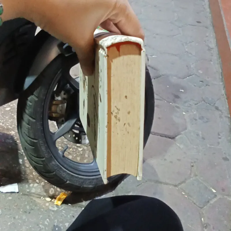 Duyên - Bạch Lạc Mai 935263