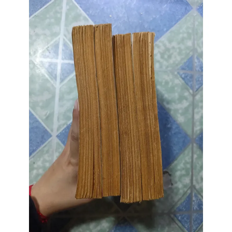 Phi Long diễn nghĩa ( 4 tập) 992776