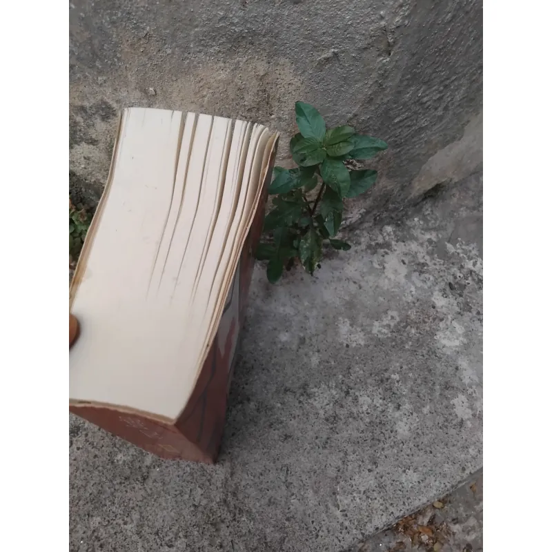 Từ điển thi X/X loại [ chúng sinh ] của Đặng Thân  1008265