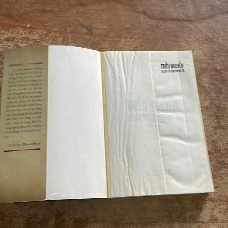 TRIỀU NGUYỄN VÀ LỊCH SỬ CỦA CHÚNG TA - nhiều tác giả  784331