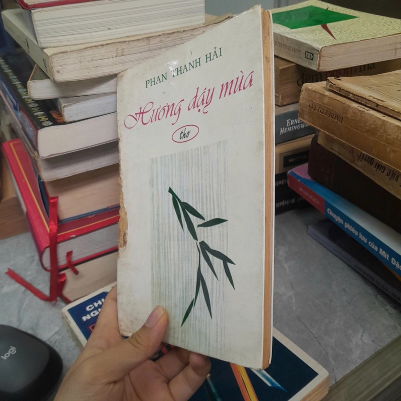 HƯƠNG DẬY MÙA - PHAN THANH HẢI 447711