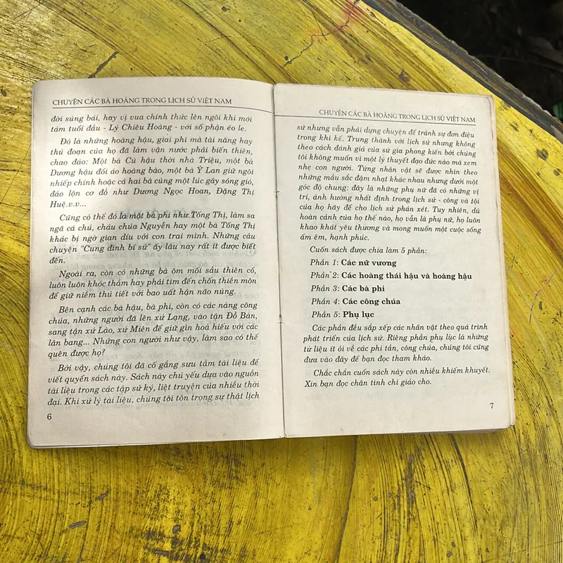 COMBO CHUYỆN CÁC BÀ HOÀNG TRONG LỊCH SỬ VIỆT NAM & CÁC TRIỀU ĐẠI VIỆT NAM 702066