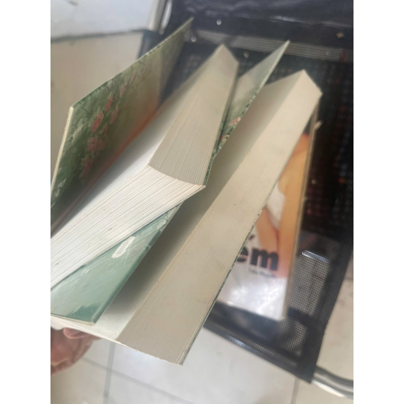 Hoa hồng ký ức Lâm Địch Nhi, tập 1 2,  2016 mới 80% HPB1704 Oreka-Blogmeo 182484