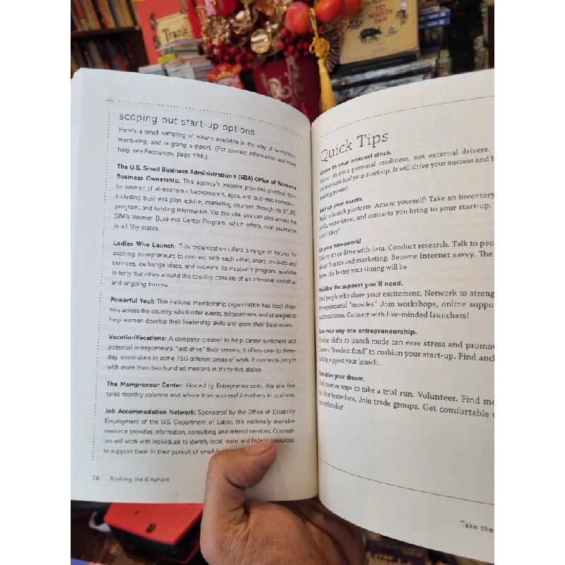 Birthing The Elephant : The woman's go-for-it! guide to overcoming the big challenges of launching a business - Karrin Abarbanel & Bruce Freeman 377093