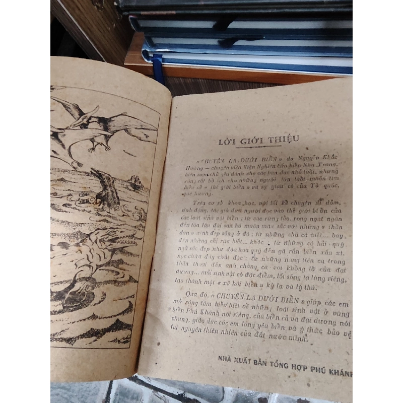 Chuyện lạ dưới biển - Nguyễn Khắc Hường 1026199