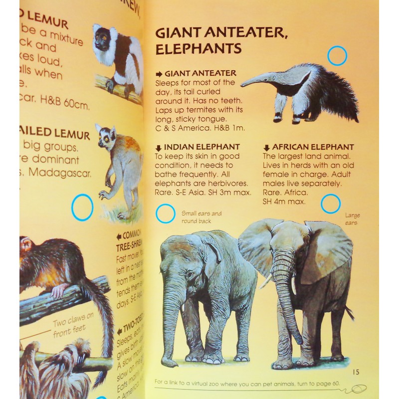 Usborne Spotter's Guides: Wild Animals 195150