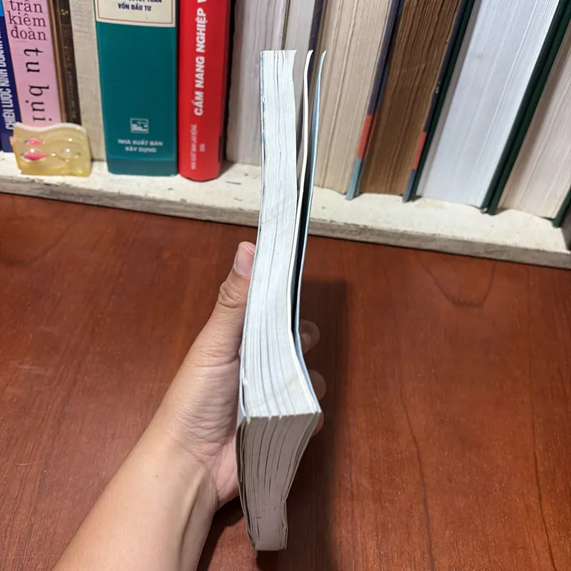 [Chữ Ký Tác Giả] - II Hồi Ký: Trên Đường Đi Tìm Tú Quỳ - Thy Hảo Trương Duy Hy - 2012 727603