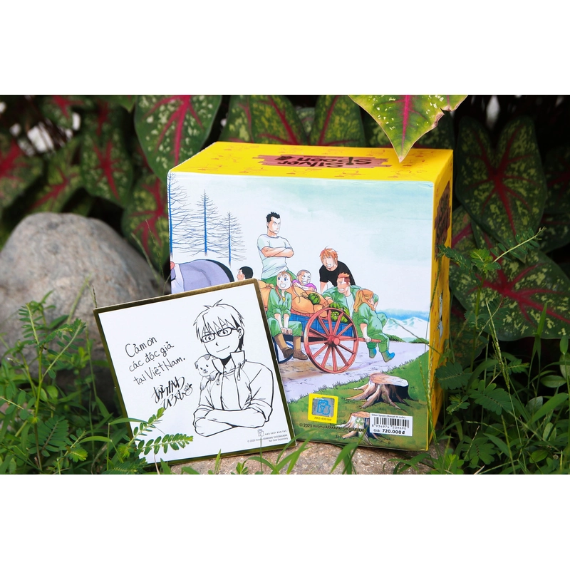 Boxset Silver Spoon (Hộp 15 Cuốn) - NXB Trẻ 521147
