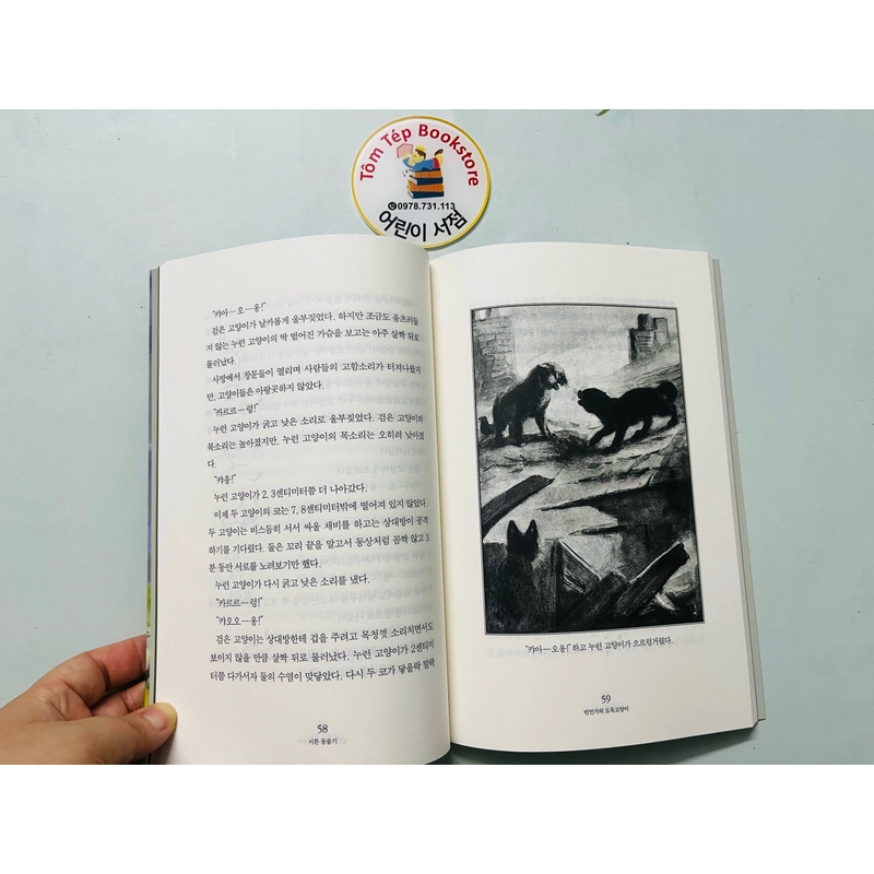 𝐁𝐨𝐱𝐬𝐞𝐭 시트 동물기- 𝐂𝐡𝐮𝐲𝐞̣̂𝐧 𝐥𝐨𝐚̀𝐢 𝐯𝐚̣̂𝐭  479447