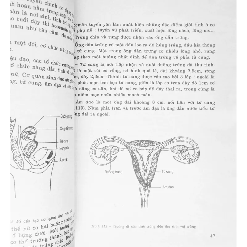 Sinh học lớp 9 xưa (Tập hai) 15839