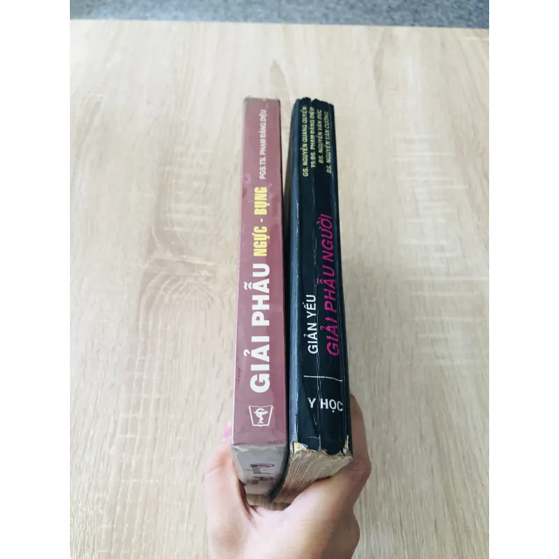 GIẢI PHẪU NGƯỜI - GIẢI PHẪU NGỰC BỤNG 989633